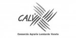 logo cliente vtenext crm calvi